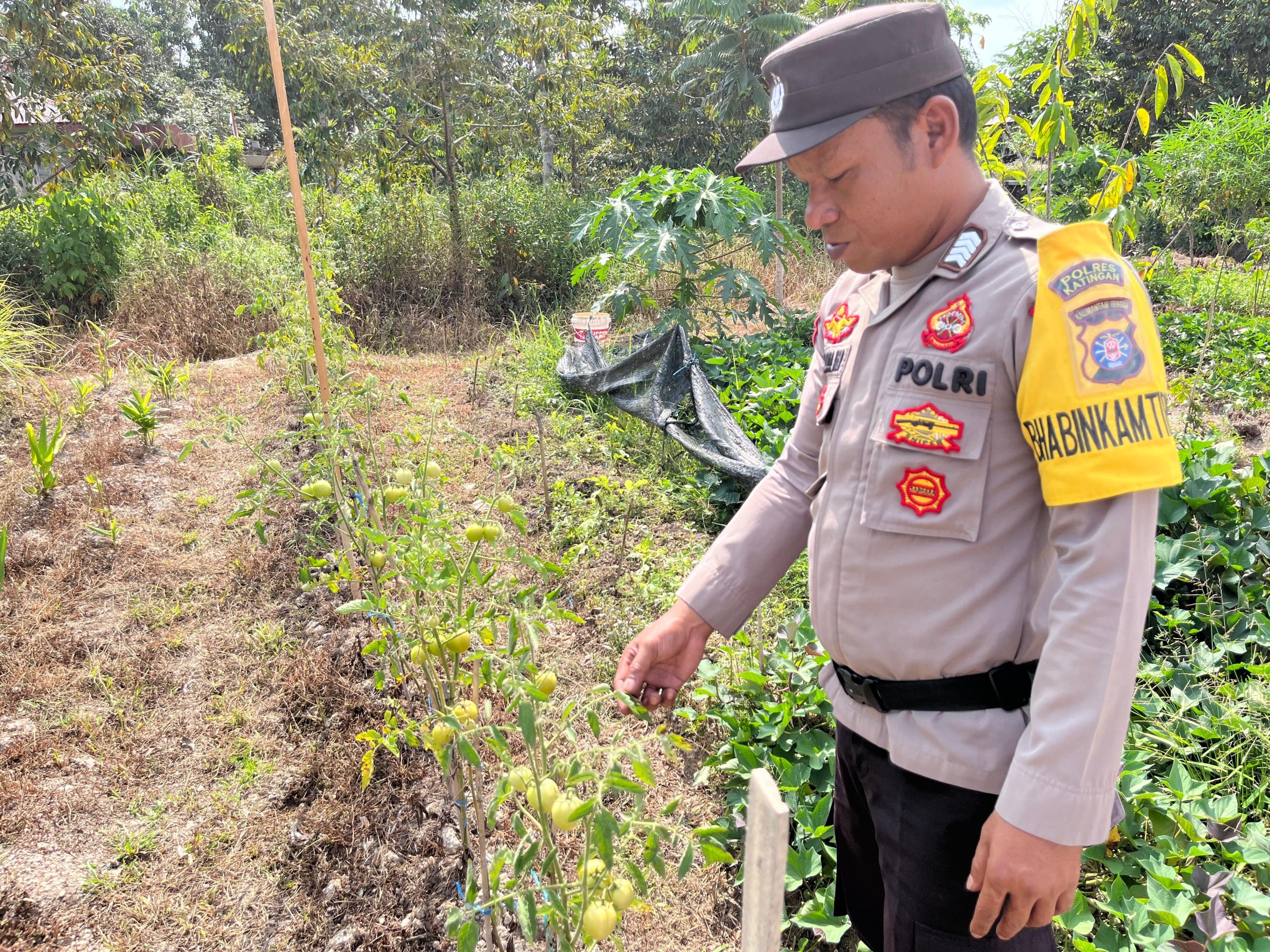 Dalam Rangka Mendukung Program Pemerintah, Bhabinkamtibmas Desa Tewang Kampung Polsek Mendawai Cek Lokasi Pemanfaatan Lahan Pekarangan Warga