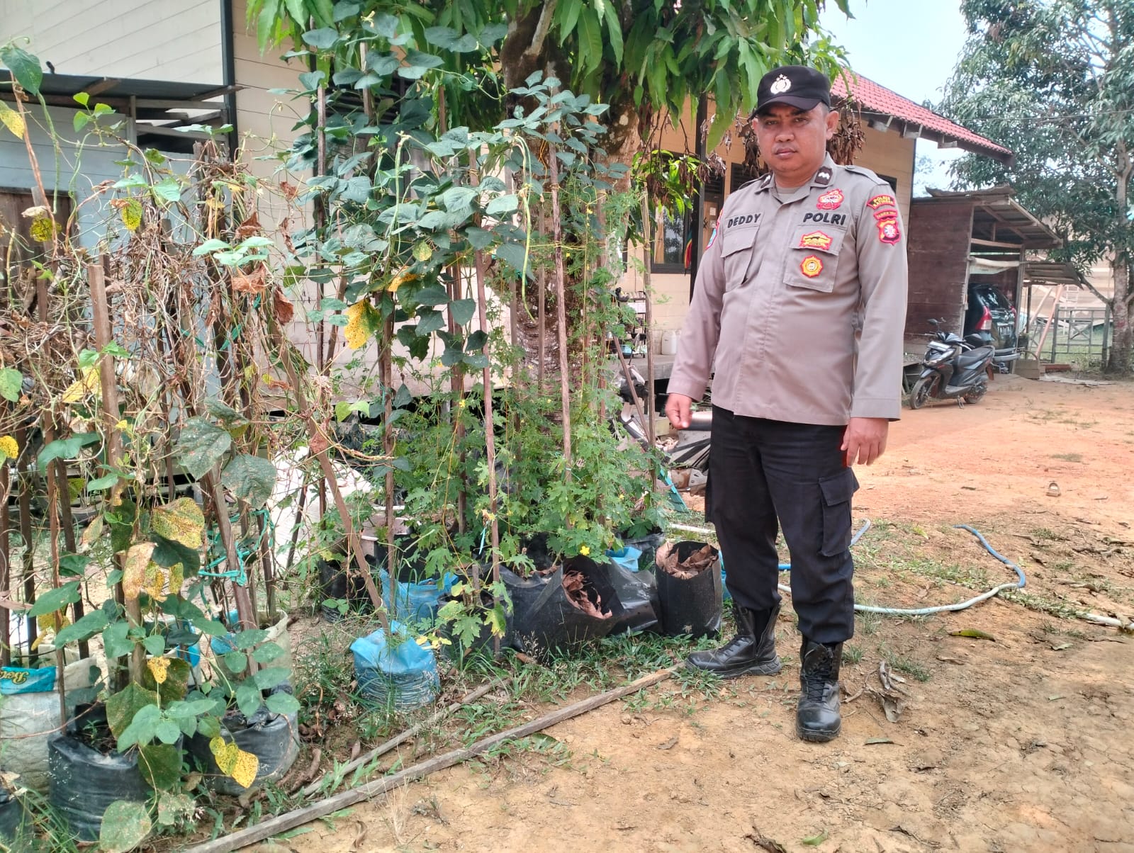 DUKUNG KETAHANAN PANGAN NASIONAL, POLSEK MARIKIT DAMPINGI PETANI DI TUMBANG PAHANEI