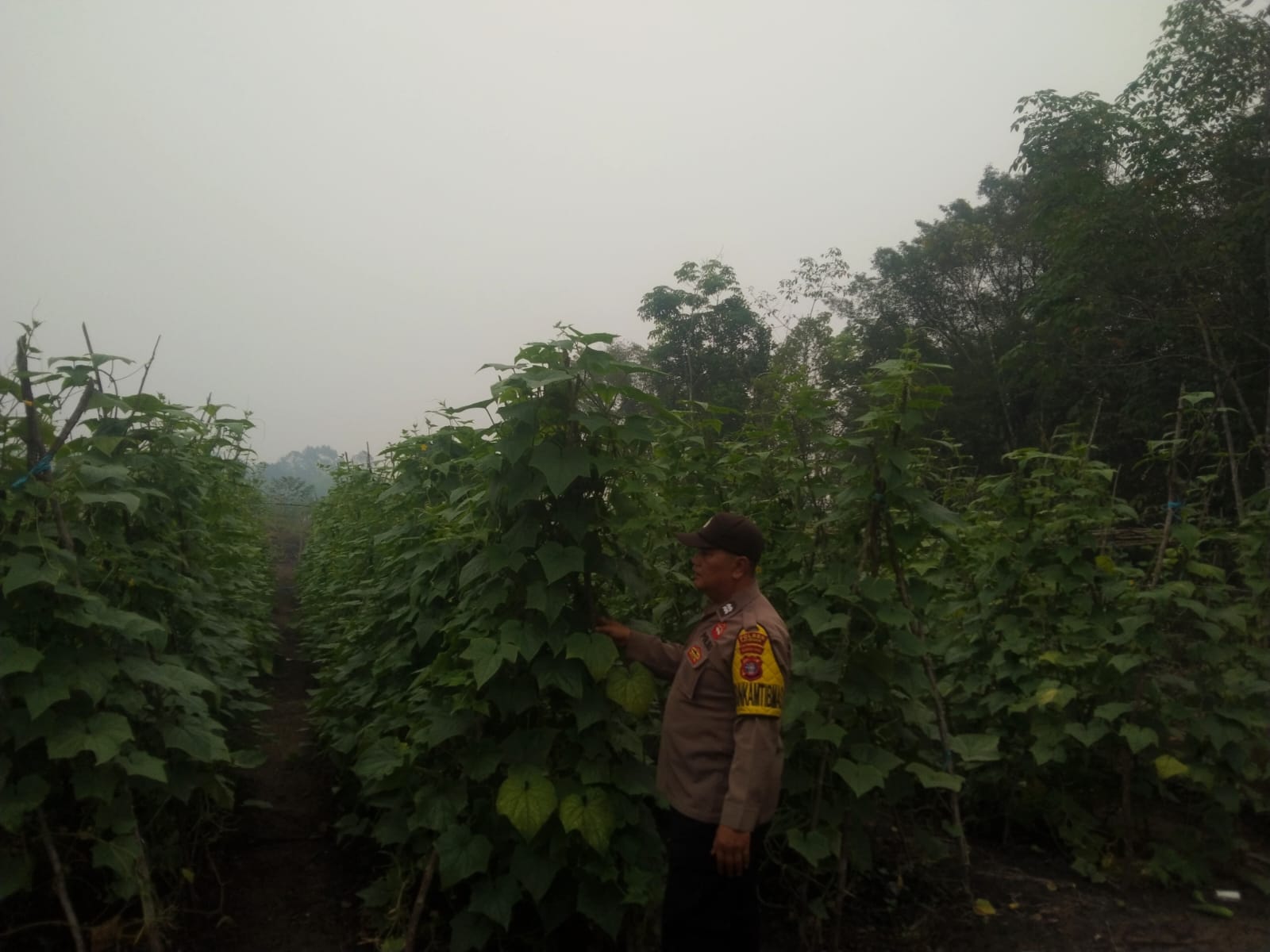 Personel Polsek Tewang Sangalang Garing dan Pulau Malan melaksanakan pengecekan lokasi pemanfaatan lahan pekarangan warga Binaannya