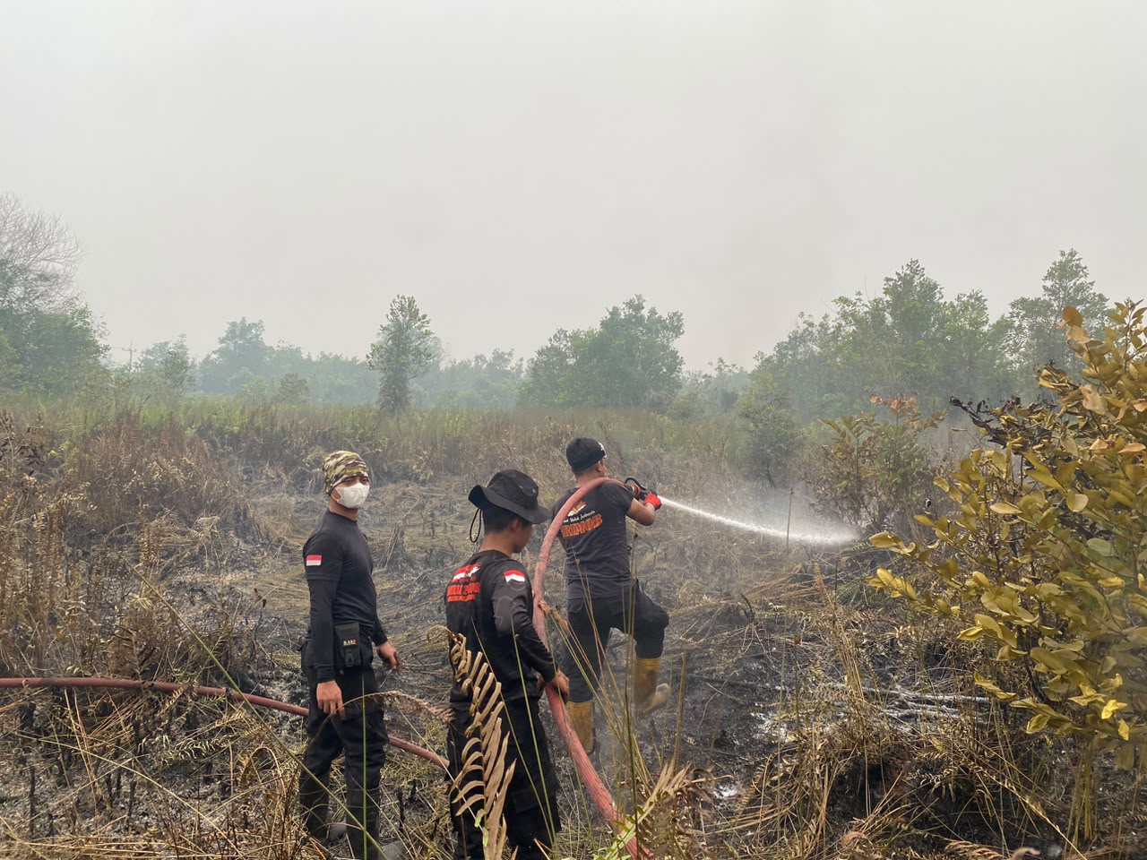 Satbrimob Polda Kalteng Lakukan Pemadaman dan Pembasahan Karhutla di Kalampangan