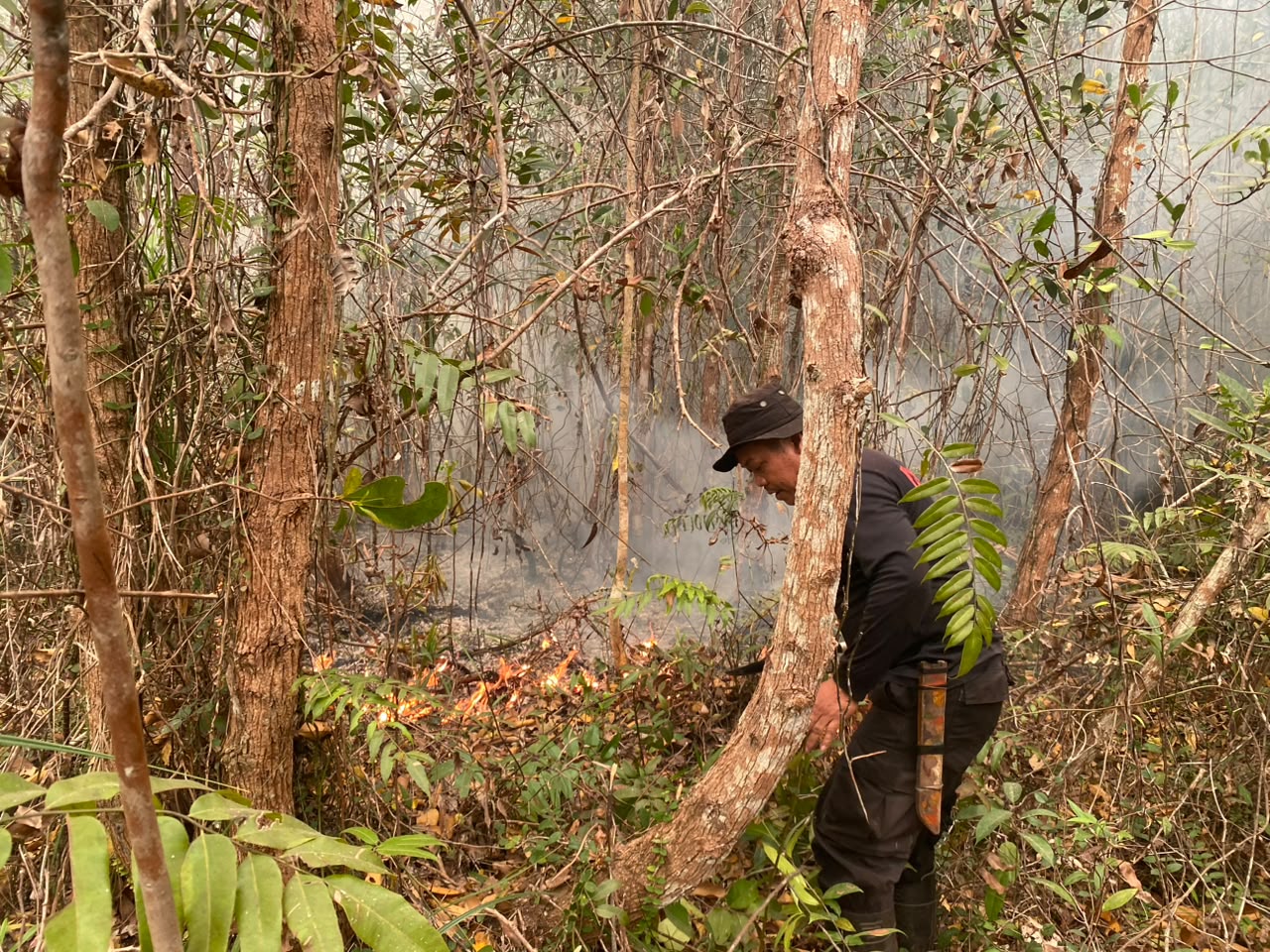 Satbrimob Polda Kalteng Lakukan Pemadaman dan Pembasahan Karhutla di Tjilik Riwut Km.39