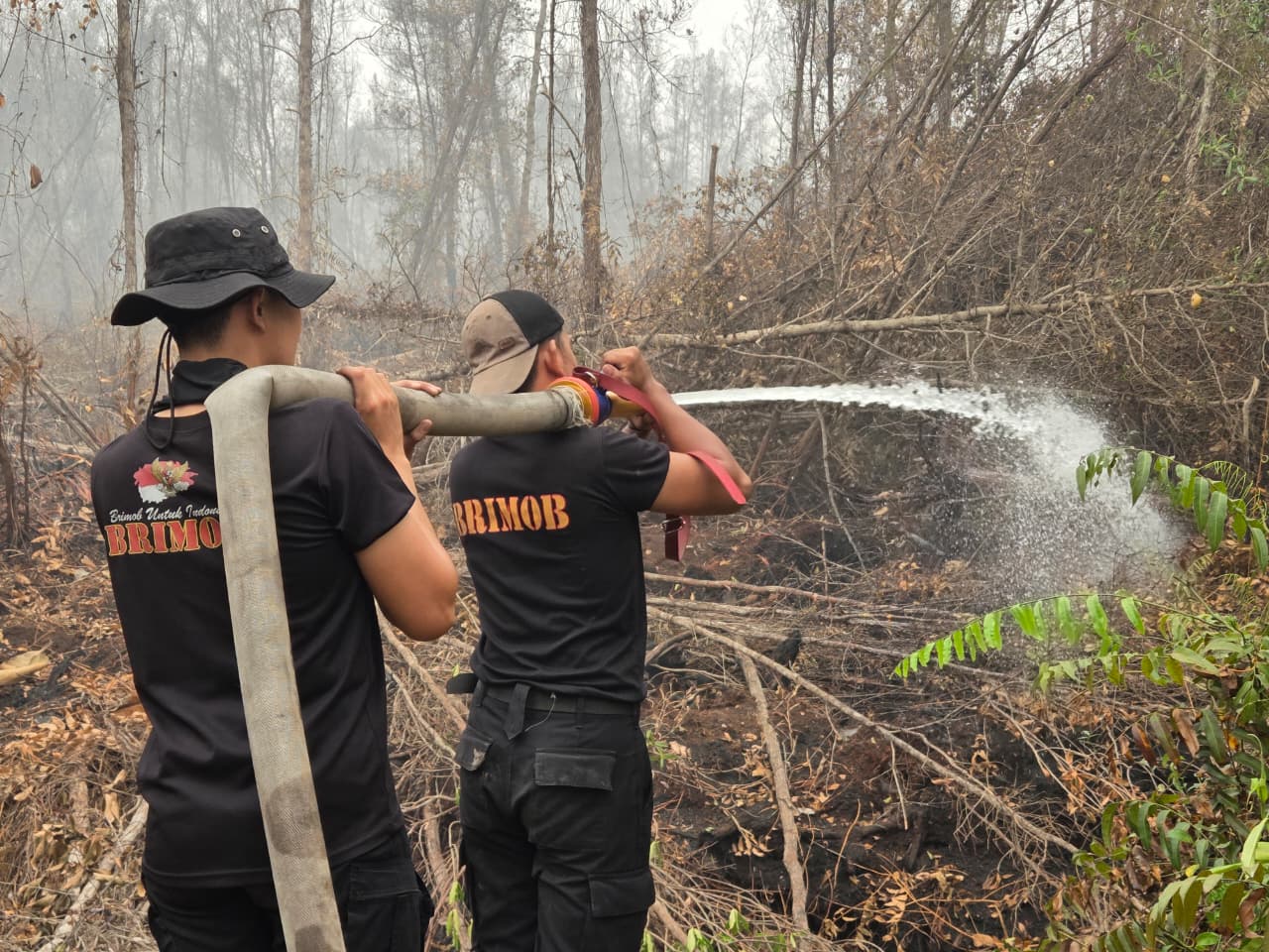Satbrimob Polda Kalteng Kembali Laksanakan Pemadaman dan Pembasahan Karhutla di Tanjung Taruna